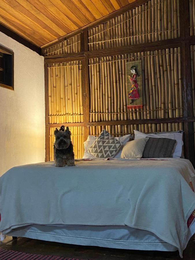 Farm stay Chale Na Montanha Cunha